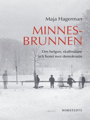 cover image of Minnesbrunnen